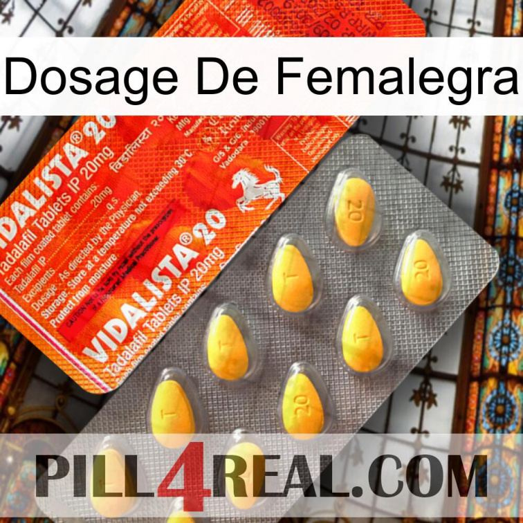 Femalegra Dosage new01